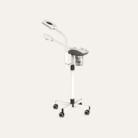 2 in 1 Facial Steamer + LED Mag Lamp