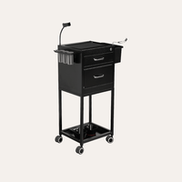 Lockable Metal Trolley