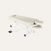 Silver Fox Electric Multi Purpose Massage Table 2274