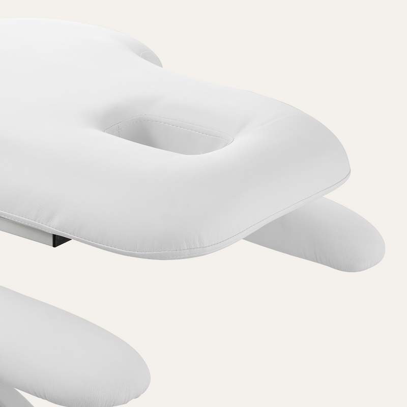 Silver Fox 3 Section Electric Facial & Massage Bed 2241C