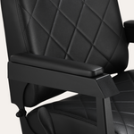 Regent Barber Chair