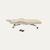 Silver Fox Electric Multi Purpose Massage Table w/ Power Tilt 2274A