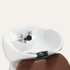 Caitlyn Shampoo Bowl and Chair