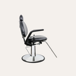 Aristo All Purpose Chair