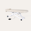 Silver Fox Electric Multi Purpose Massage Table 2274