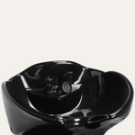 Alura Shampoo Bowl and Chair