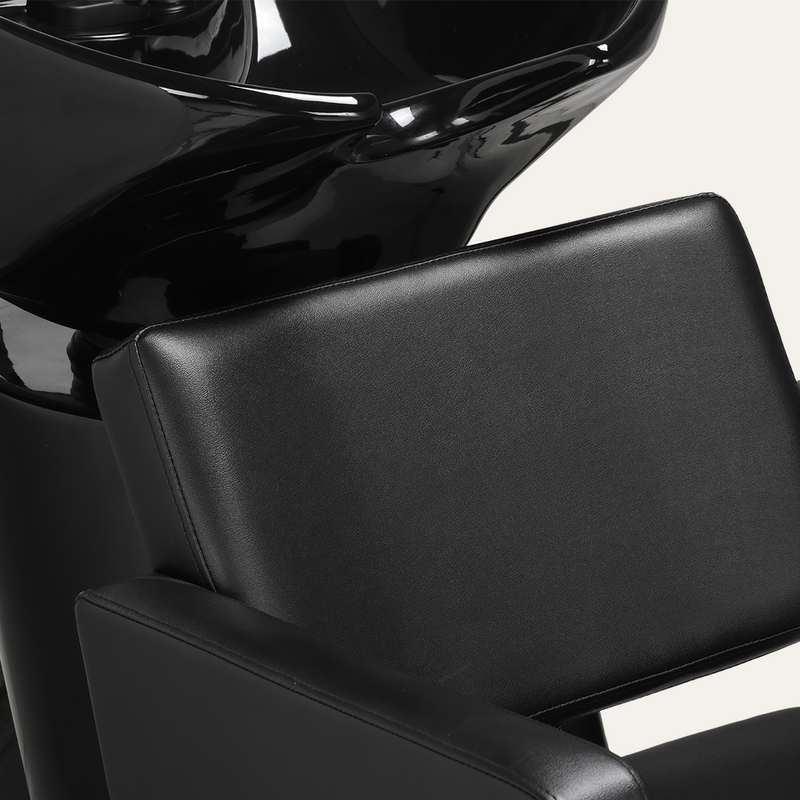 Alura Shampoo Bowl and Chair